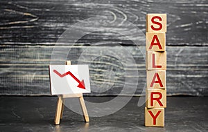 The inscription `salary` and the red arrow down. lower salary, wage rates. demotion, career decline. lowering the standard of livi