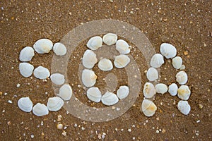 Inscription on sand from shells - the sea, camping, tourism