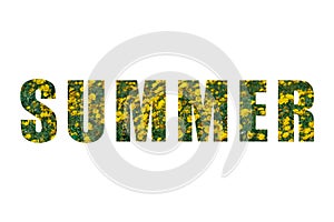 Inscription SUMMER with yellow blooming daisy floral pattern isolated on white