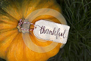 The inscription `Thankful` on the pumpkin. Thanksgiving Day