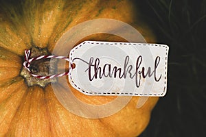 The inscription `Thankful` on the pumpkin. Thanksgiving Day