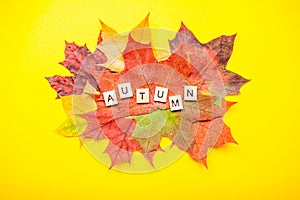Inscription of wooden blocks autumn. Layout of red and orange autumn maple leaves and garden apples on a bright yellow