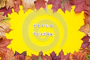 Inscription of wooden blocks hello autumn. Frame made of red and orange autumn maple leaves on a bright yellow