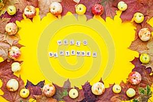 Inscription of wooden blocks hello september. Frame made from red and orange autumn maple leaves and garden apples on a