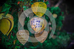 inscriptions of wishes on gold leaves