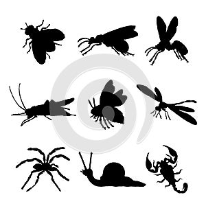 Insect Animal Icon Flat Isolated Black Silhouette Bug Ant Butterfly Spider Vector