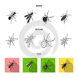 An insect arthropod, an osa, a spider, a cockroach. Insects set collection icons in black,flat,outline style vector