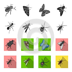 An insect arthropod, an osa, a spider, a cockroach. Insects set collection icons in black,flet style vector symbol stock