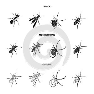 An insect arthropod, an osa, a spider, a cockroach. Insects set collection icons in black,monochrome,outline style