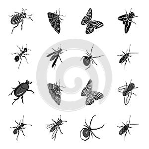 An insect arthropod, an osa, a spider, a cockroach. Insects set collection icons in black,monochrome style vector symbol