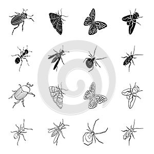 An insect arthropod, an osa, a spider, a cockroach. Insects set collection icons in black,outline style vector symbol