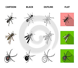 An insect arthropod, an osa, a spider, a cockroach. Insects set collection icons in cartoon,black,outline,flat style