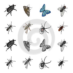 An insect arthropod, an osa, a spider, a cockroach. Insects set collection icons in cartoon,monochrome style vector