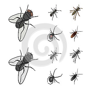 An insect arthropod, an osa, a spider, a cockroach. Insects set collection icons in cartoon,monochrome style vector