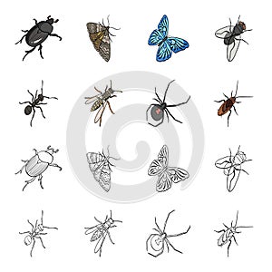 An insect arthropod, an osa, a spider, a cockroach. Insects set collection icons in cartoon,outline style vector symbol