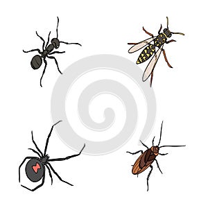 An insect arthropod, an osa, a spider, a cockroach. Insects set collection icons in cartoon style vector symbol stock