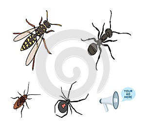 An insect arthropod, an osa, a spider, a cockroach. Insects set collection icons in cartoon style vector symbol stock