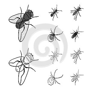 An insect arthropod, an osa, a spider, a cockroach. Insects set collection icons in outline,monochrome style vector photo