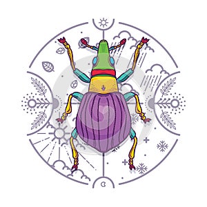 Insect Beetle Bug Design Elements with Line Graphic