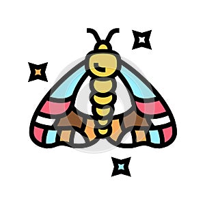 insect boho color icon vector illustration