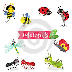 Insect Bug Animal cartoon on white background. Vector illustration. Set 2