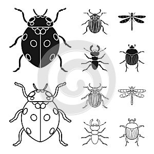 Insect, bug, beetle, paw .Insects set collection icons in black,outline style vector symbol stock illustration web.