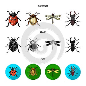 Insect, bug, beetle, paw .Insects set collection icons in cartoon,black,flat style vector symbol stock illustration web.