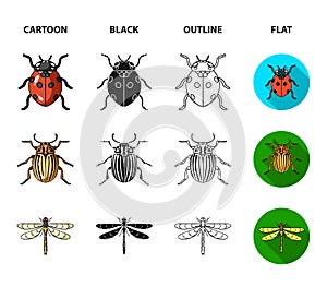 Insect, bug, beetle, paw .Insects set collection icons in cartoon,black,outline,flat style vector symbol stock