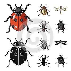 Insect, bug, beetle, paw .Insects set collection icons in cartoon,black style vector symbol stock illustration web.