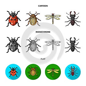 Insect, bug, beetle, paw .Insects set collection icons in cartoon,flat,monochrome style vector symbol stock illustration