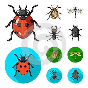 Insect, bug, beetle, paw .Insects set collection icons in cartoon,flat style vector symbol stock illustration web.