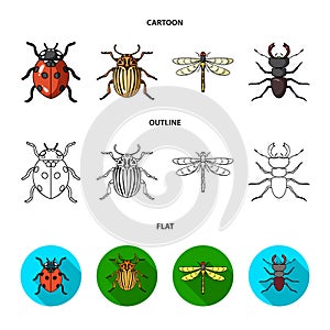 Insect, bug, beetle, paw .Insects set collection icons in cartoon,outline,flat style vector symbol stock illustration
