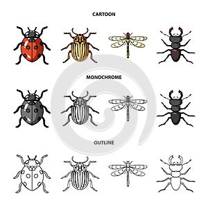 Insect, bug, beetle, paw .Insects set collection icons in cartoon,outline,monochrome style vector symbol stock