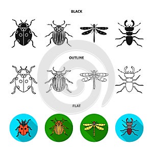 Insect, bug, beetle, paw .Insects set collection icons in cartoon style vector symbol stock illustration web.