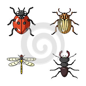 Insect, bug, beetle, paw . Insects set collection icons in cartoon style vector symbol stock illustration web.