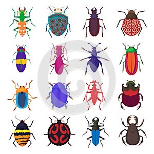 Insect bug icons set, cartoon style
