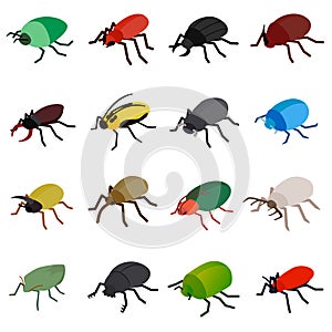 Insect bug icons set, isometric 3d style