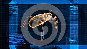 Insect Bug X-Ray Scan Technology