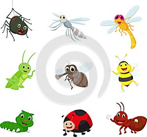 Insect cartoon collection set