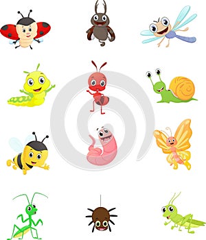 Insect cartoon collection