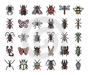 Insect color outline vector icons