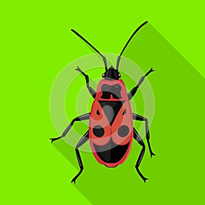 Insect firefly vector icon.Flat vector icon isolated on white background insect firefly .