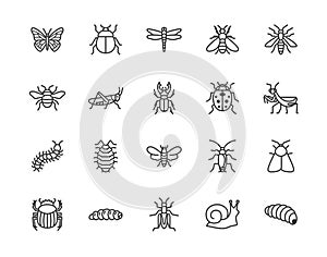 Insect flat line icons set. Butterfly, bug, dung beetle, grasshopper, cockroach, scarab, bee, caterpillar vector