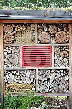 Insect home