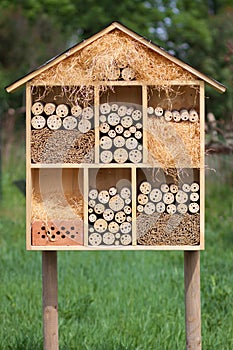 Insect Hotel