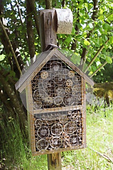 Insect hotel