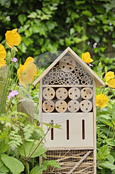 An insect hotel or bee hotel in a summer garden