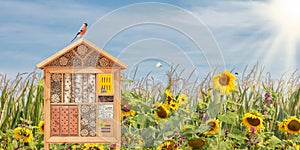 Insect hotel with bird, flying butterflies and bees in front of blooming sunflowers