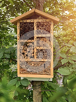 Insect hotel for bugs in leafy tree