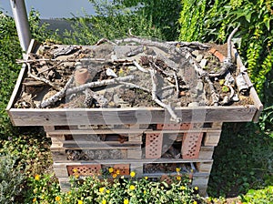 Insect hotel built as small house